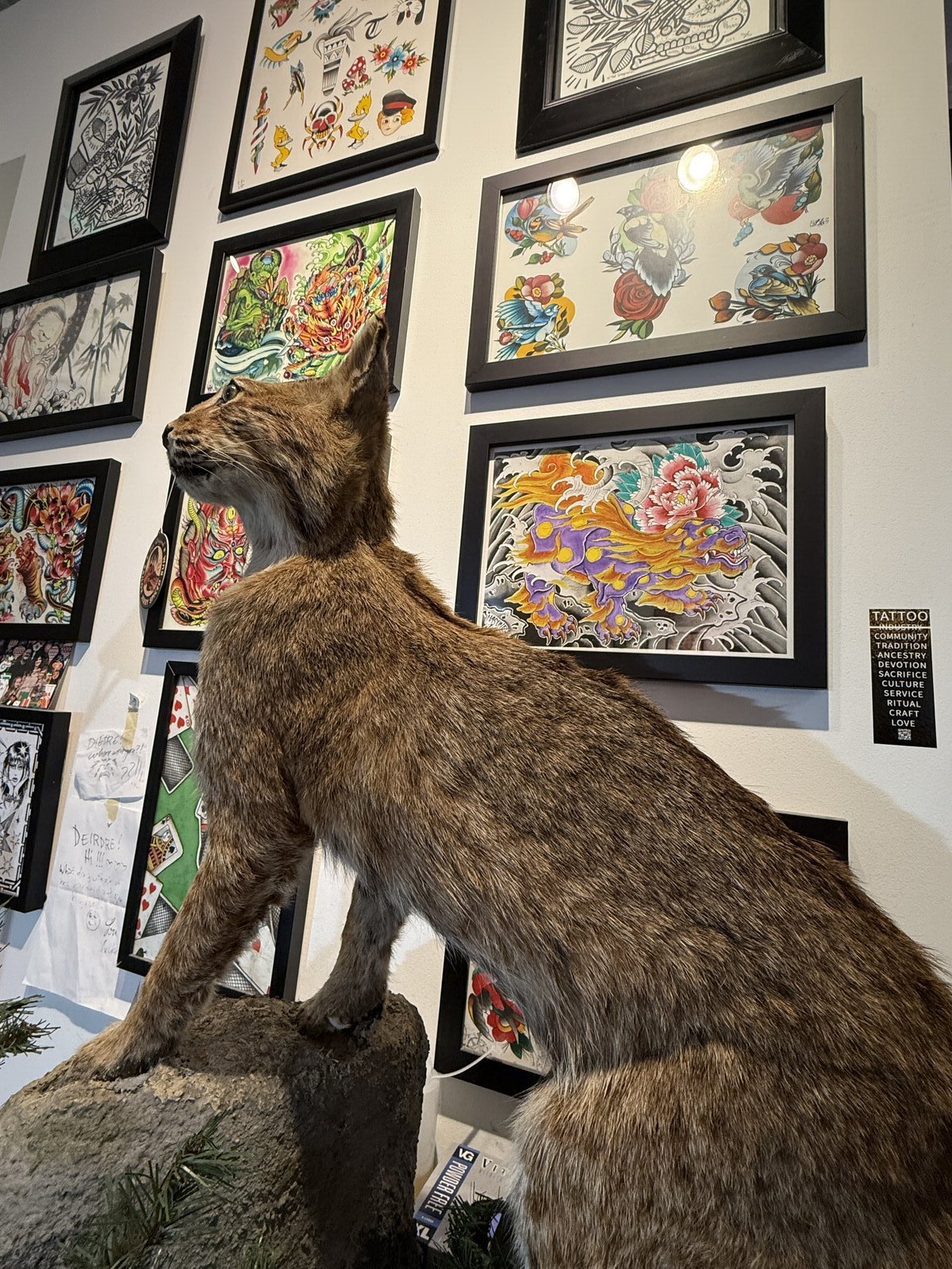 Gallery image IMG_0467