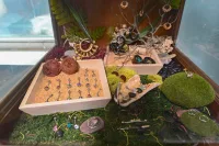 Gallery image REN_3909-200w